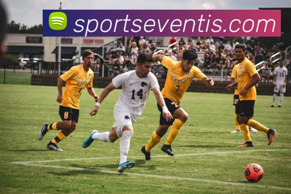 体育下注APP 高清赛事图